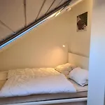 Kiebitzkueken *